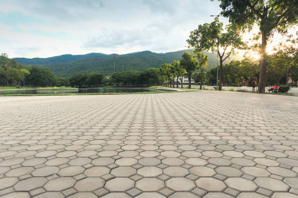 Best Custom Driveway Pavers  in Aviston, IL