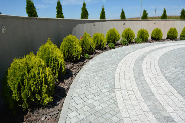 Driveway Repair Near Me in Aviston, IL